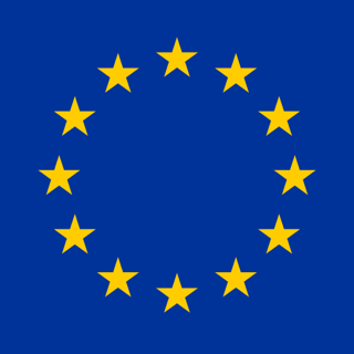 EU VIES logo